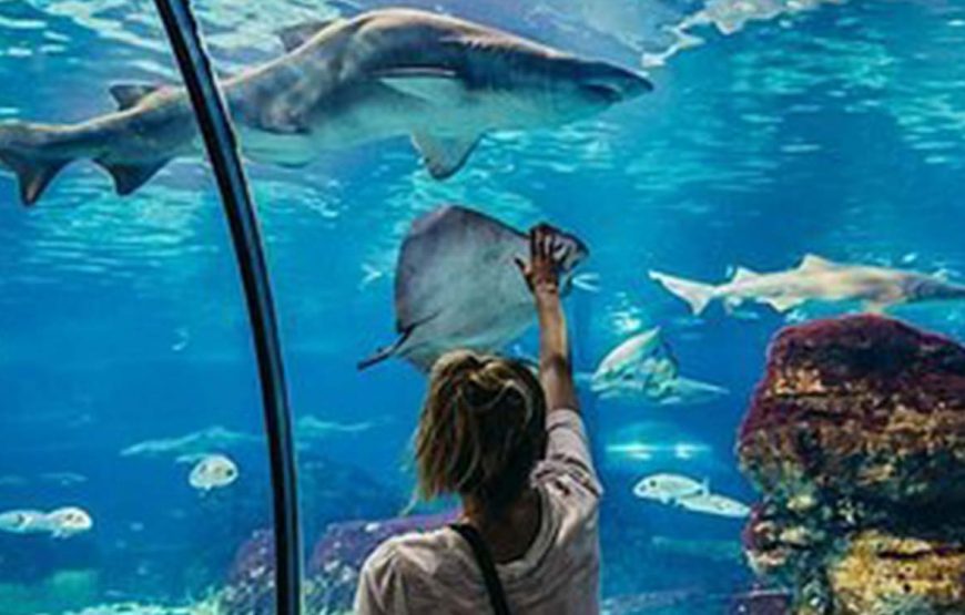 Aquário Hurghada