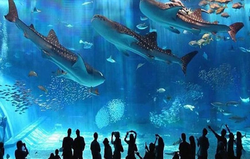 Aquário Hurghada