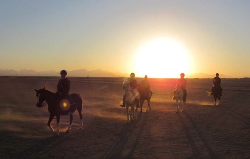 Horse riding