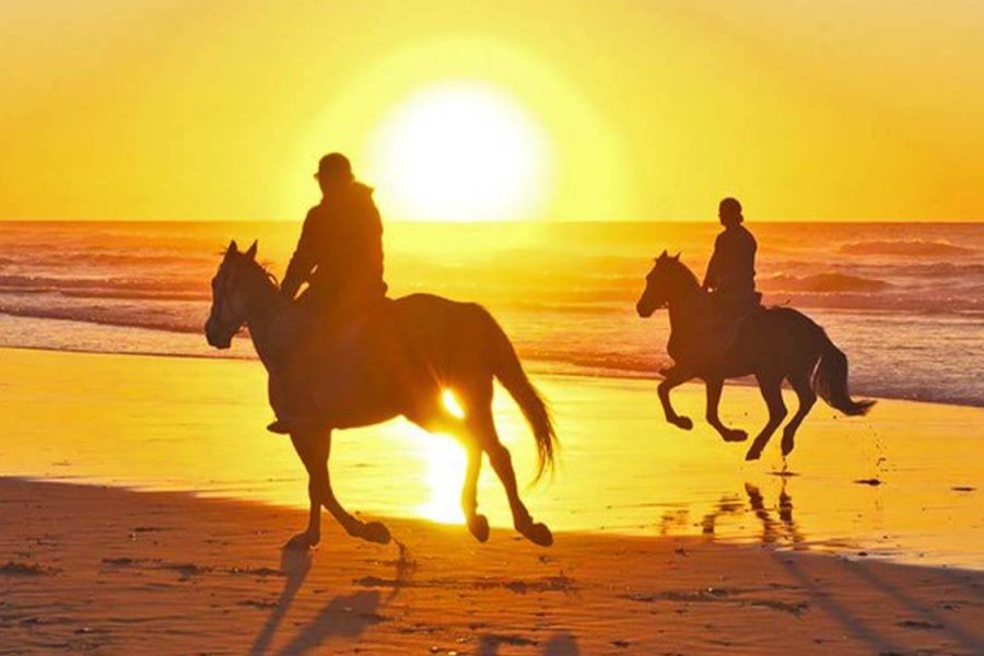 Passeios a cavalo