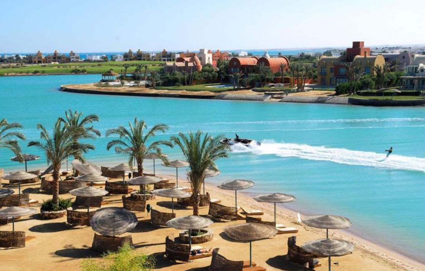 Tartarugas de Abu Dabbab