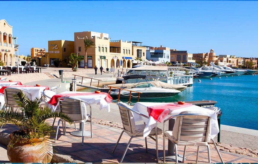 Tartarugas de Abu Dabbab