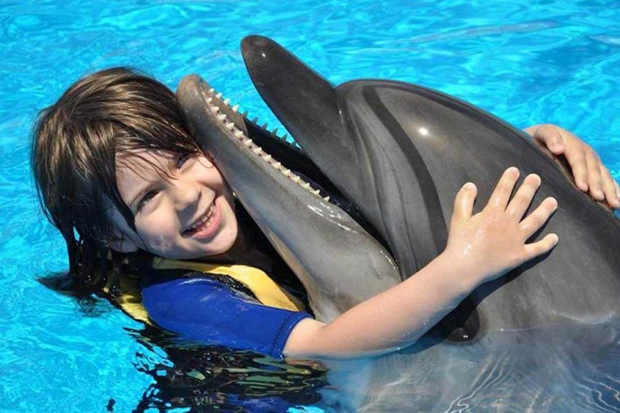 Sessão fotográfica com golfinhos