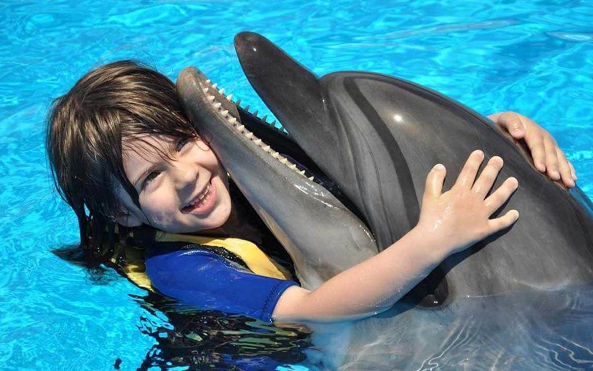Shooting photos avec dauphins