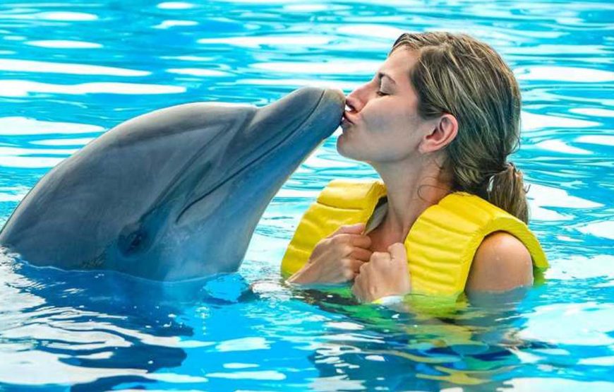 Fotoshooting mit Delfinen