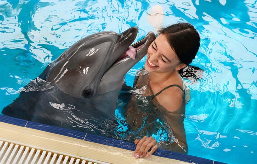 Fotoshooting mit Delfinen