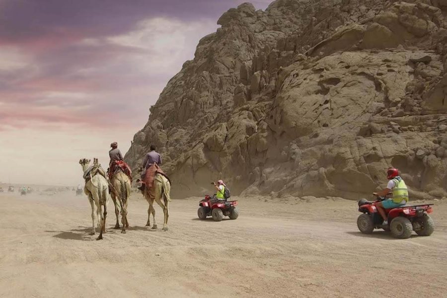 Grande Safari no Deserto