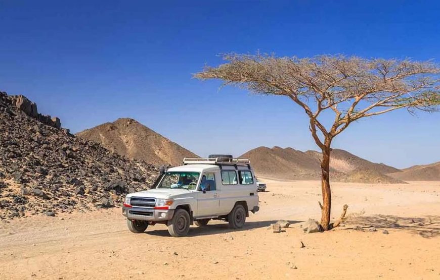 Safári no Super Deserto (Marsa Alam)