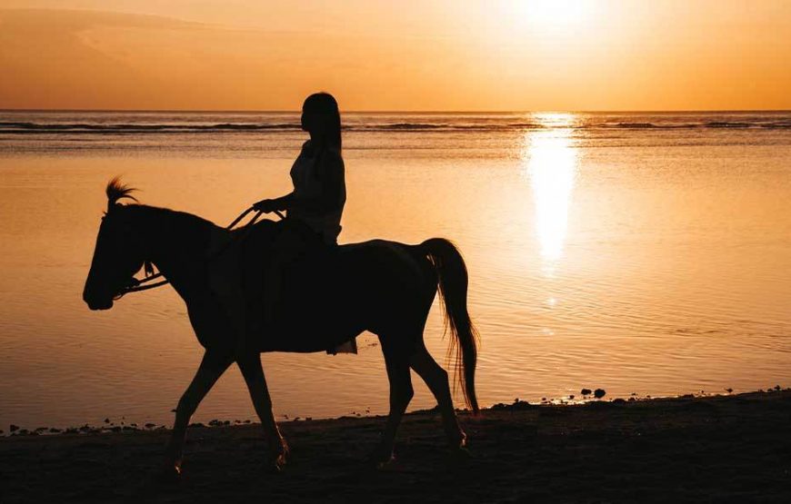 Sunrise Expérience Cheval