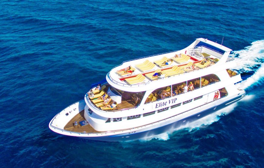 VIP Elite-cruise