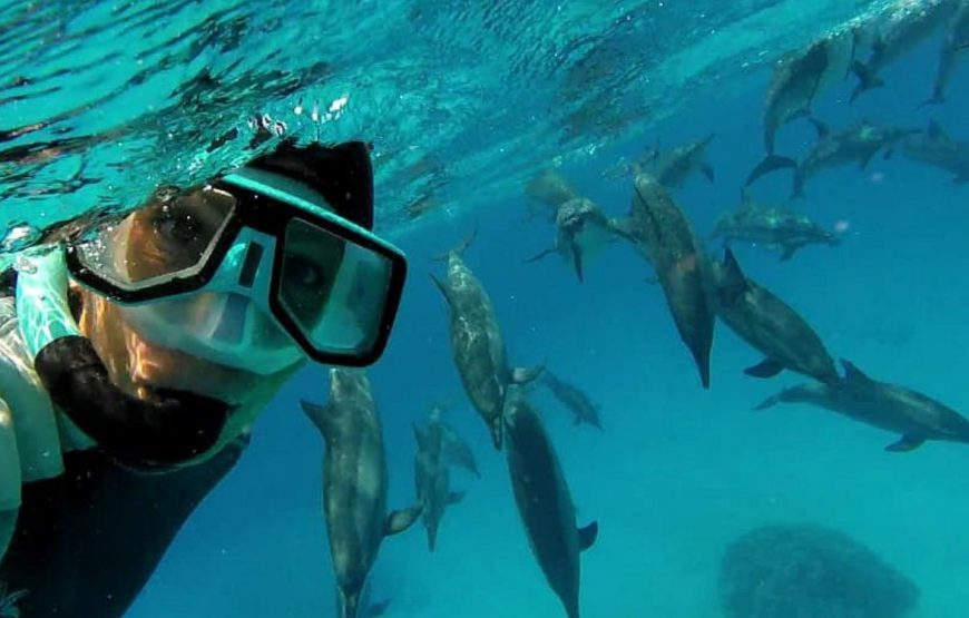 Sataya – mergulho noturno com snorkel