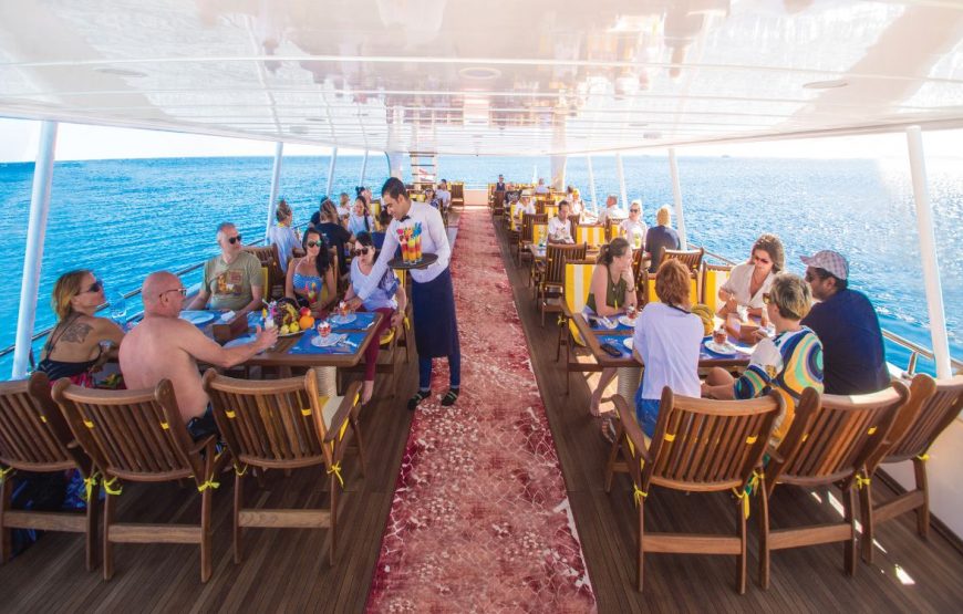 VIP Elite-cruise