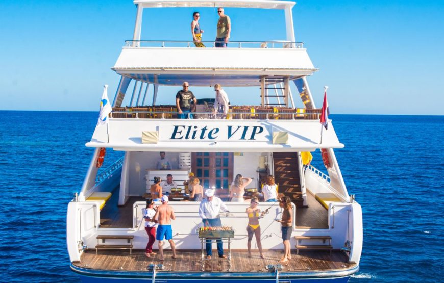 VIP Elite-cruise