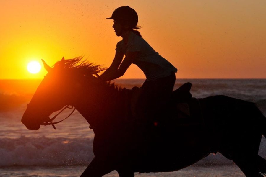 Sunrise Expérience Cheval