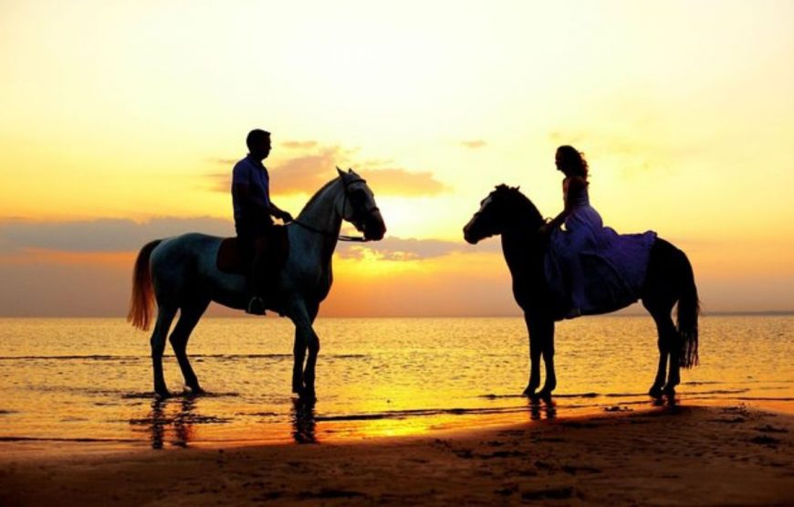 Sunrise Expérience Cheval